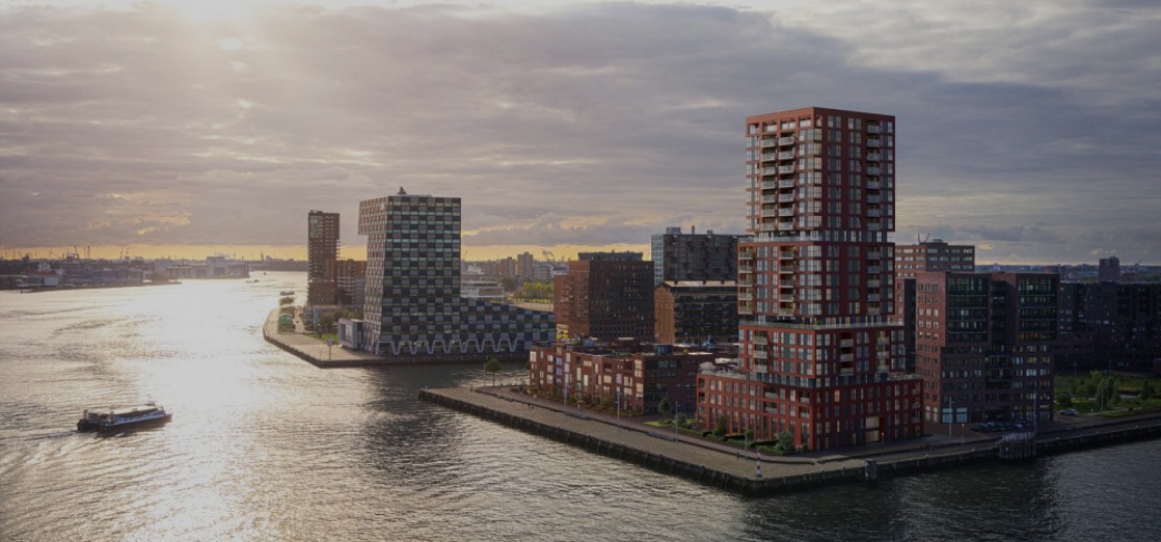 more-groot-3-1920x1080 1 (2)